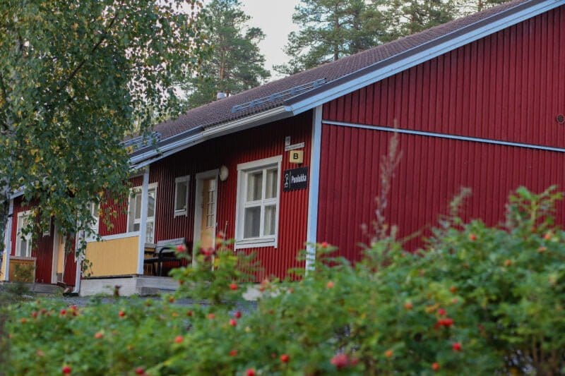 Puolukka