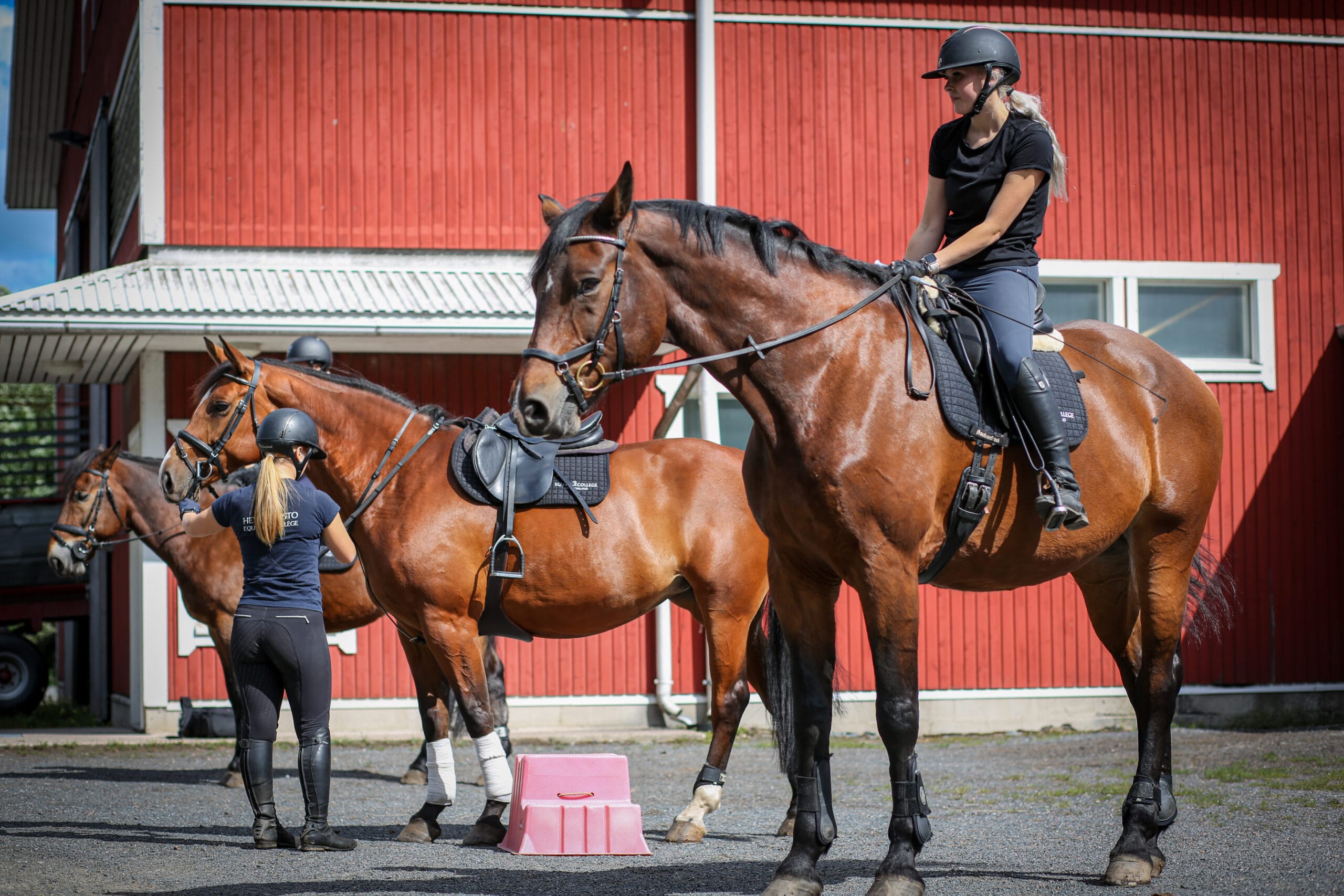 Opiskelijat lähdössä ratsastustunnille tallinpihalta
