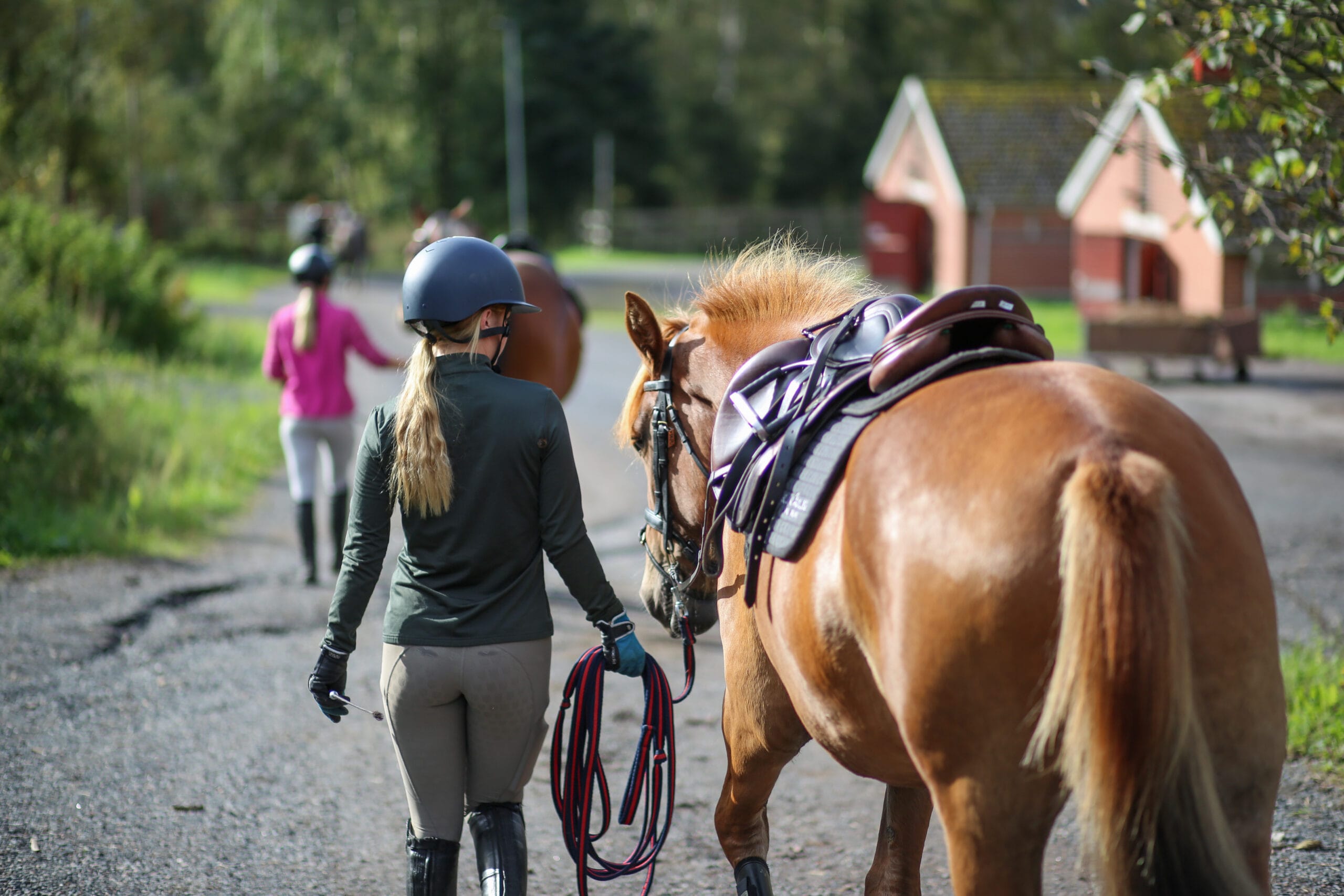 Ratsuhevosen koulutus Hevosopisto Sini Mansikka-115 (7)