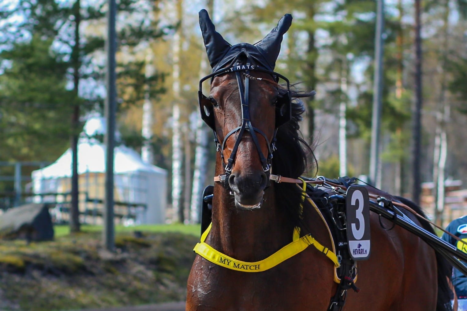 My Match - Janne Korpi-5