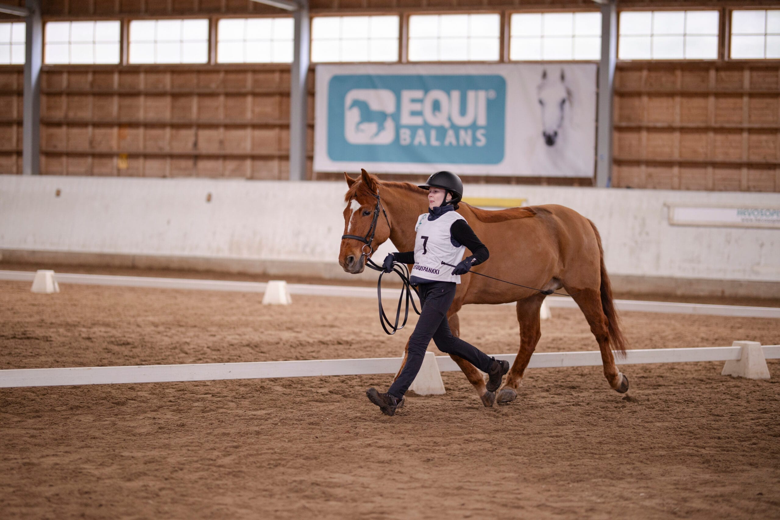 Hevosenhoito_Juhola_Emma_6