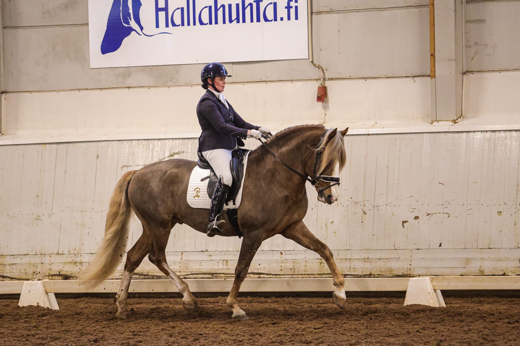 Helkky Ylönen - Ypäjä Paavo (kuva Ansku Ankelo) Helkky Ylönen - Ypäjä Paavo (kuva Ansku Ankelo)