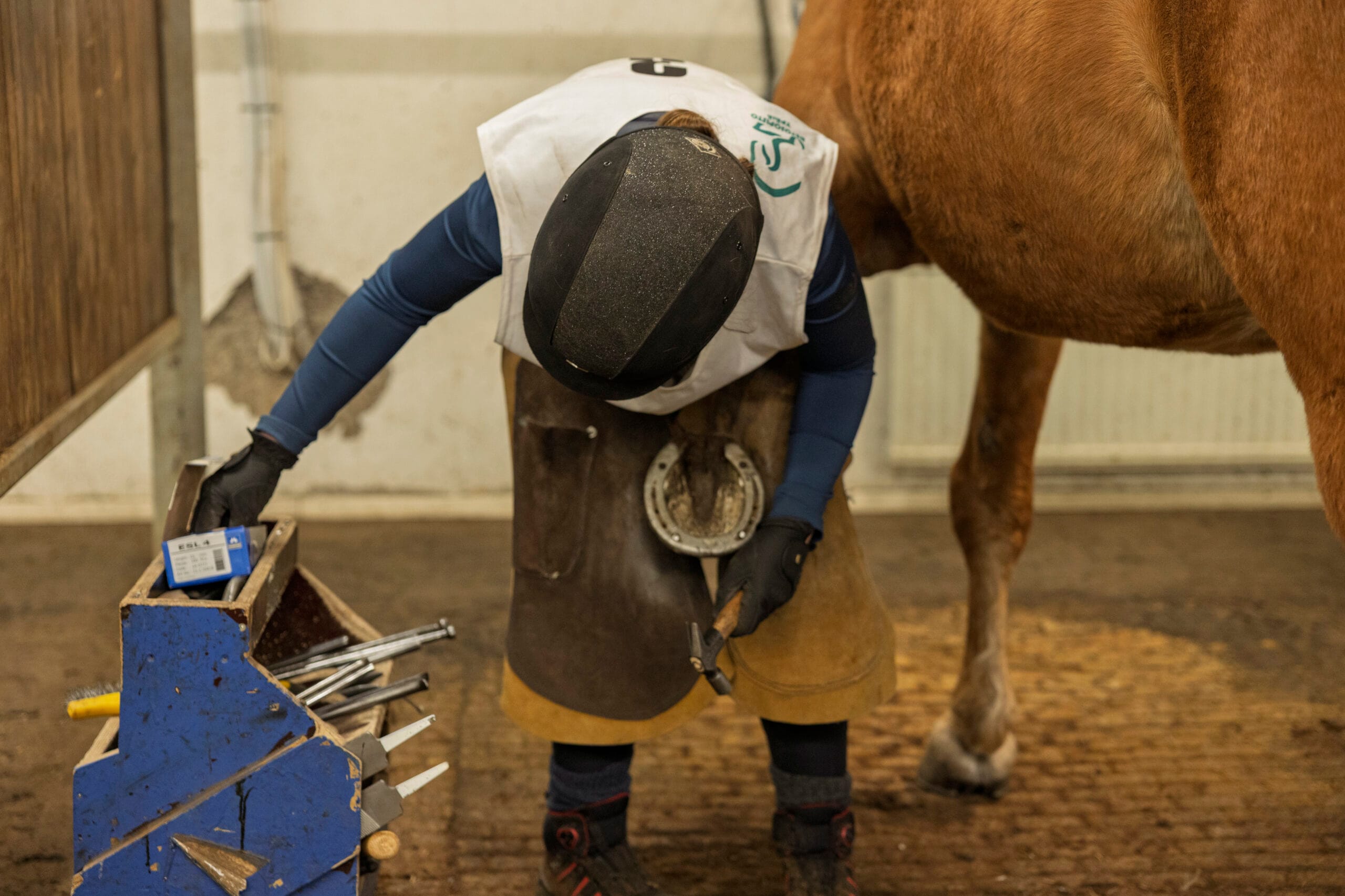 Hevostenhoito_ Alexandra_Viklund