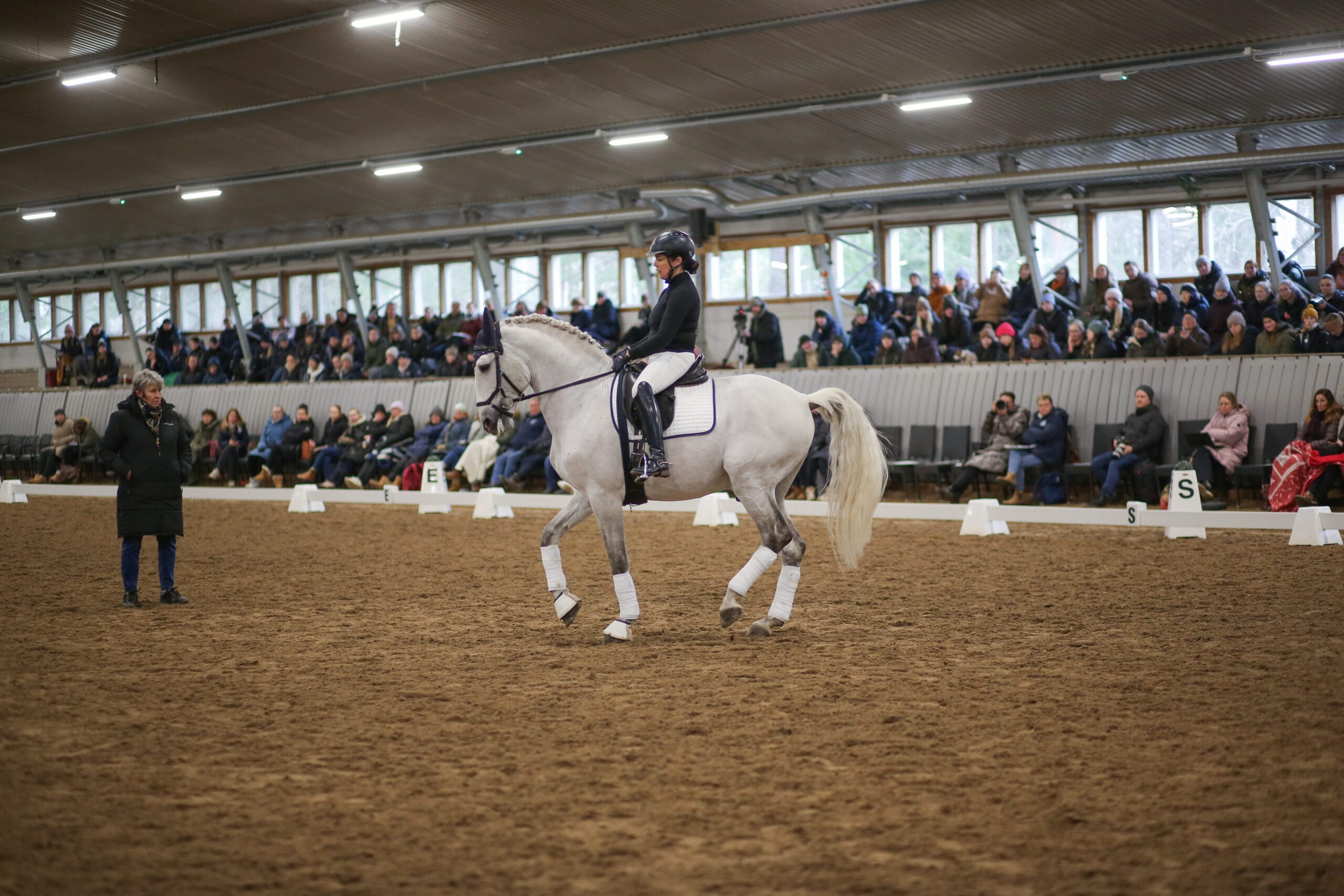 Nina Dunder ja Ladino das Cardas